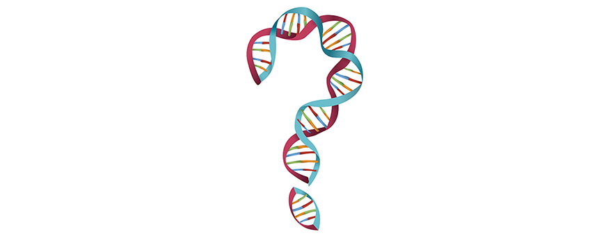DNA Legal About Us Banner