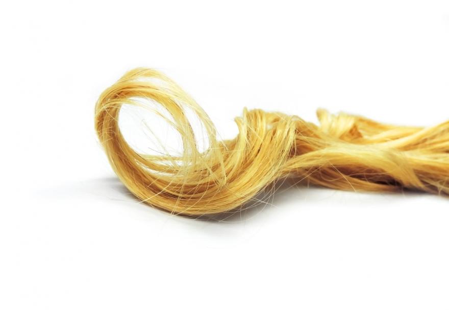 Hair Alcohol Testing: FAQs | DNA Legal Hair Alcohol Testing: FAQs | DNA Legal