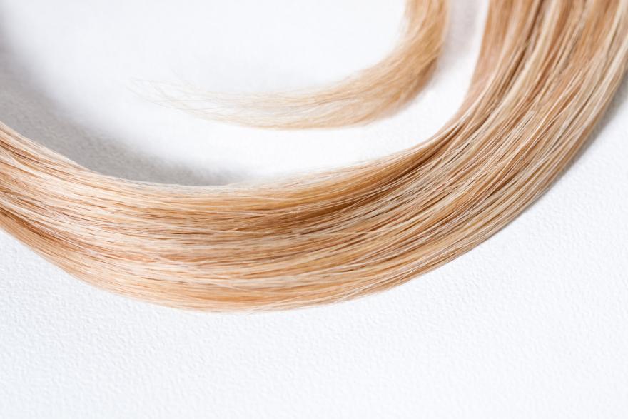 Hair Drug Testing Faq Dna Legal