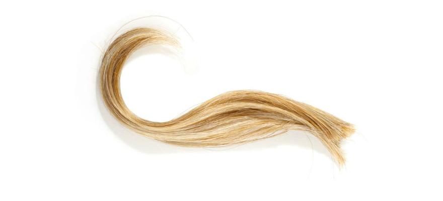 How much hair is needed for a drug test?