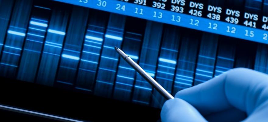 How many DNA markers do we test for?