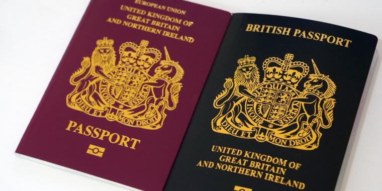 Immigration DNA Testing for a British Passport: how it works