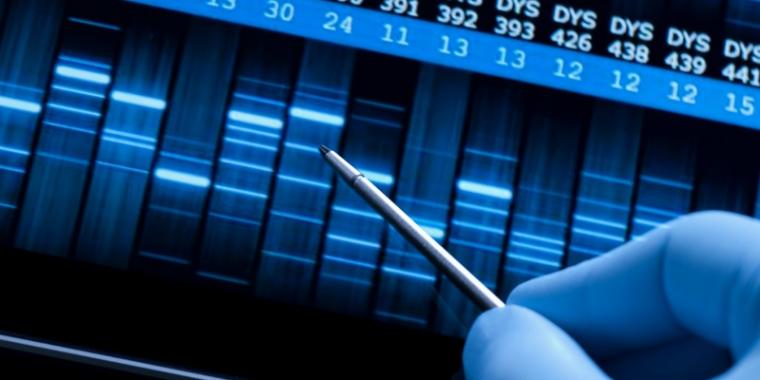 How many DNA markers do we test for?