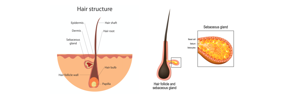 Different Types of Split Ends and What They Mean  Marie Claire