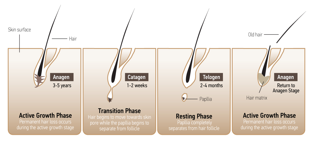 does alcohol show up in hair follicle test Loren Fernandes